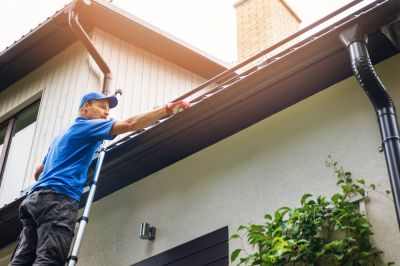 Get Your Gutters Professionally Cleaned!