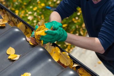 Prevent Clogs from Leaves in Your Gutter!